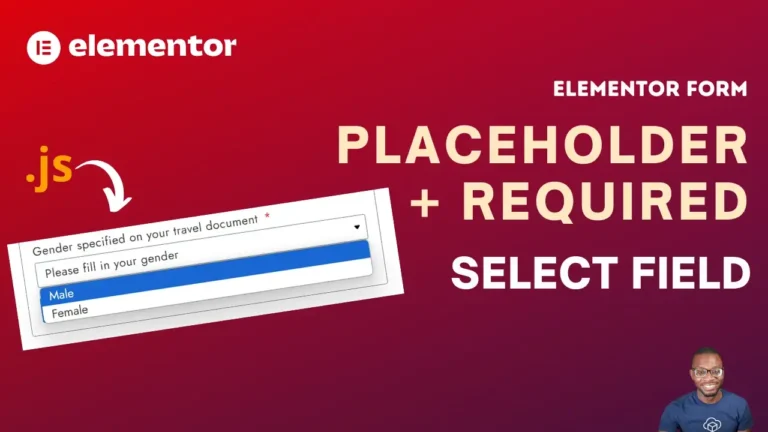 28 Elementor Form - Placeholder Text for Required Select Field